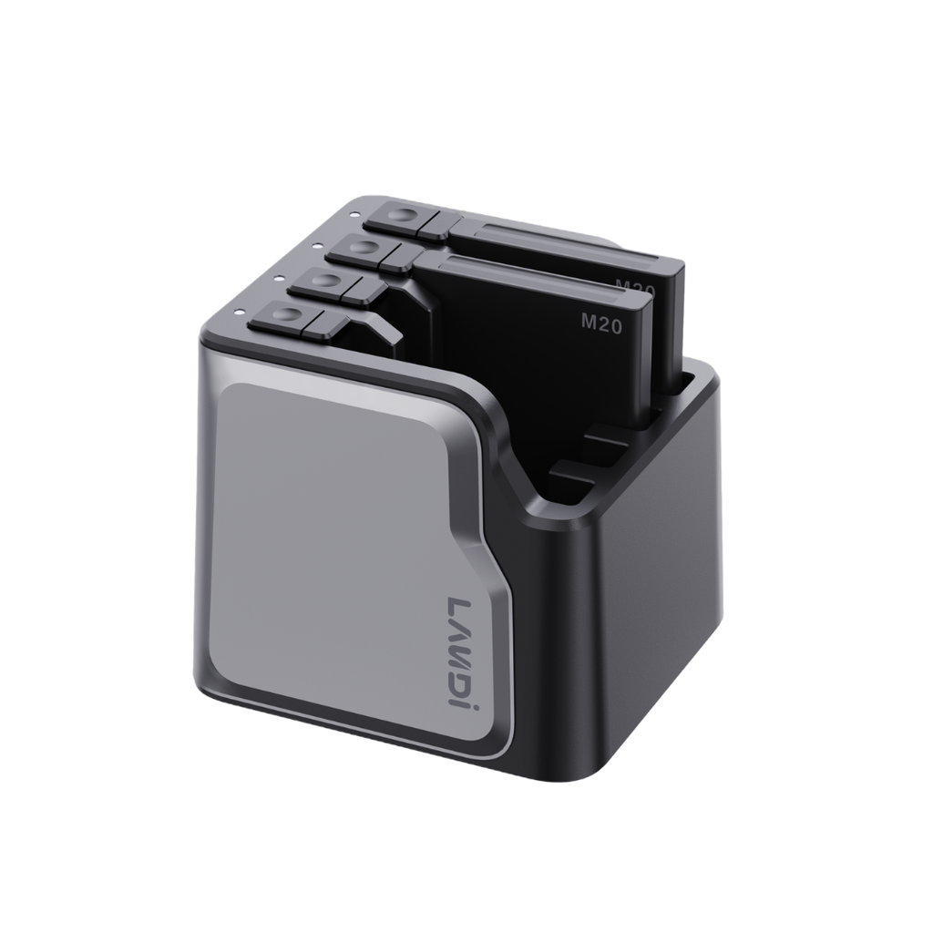 LANDI M20/M20 SE Battery Charger - 4 Pack